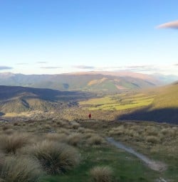 8. Views from Bushline Hut