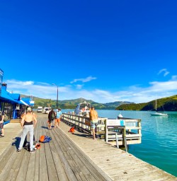 8. Akaroa