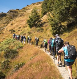 8. Group heading up Bushline Track