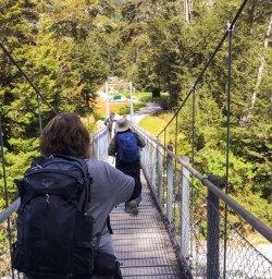 8. Guests crossing bridge on Routeburn Track