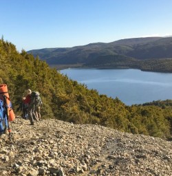8. Guests hiking down from Bushline Hut