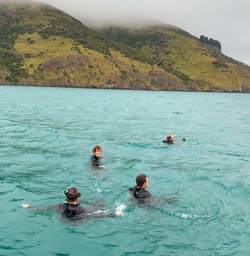 8. Guests in water Dolphin Swim
