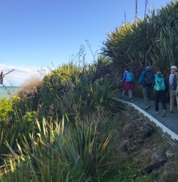 8. Guests on Cape Foulwind walkway