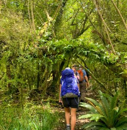 8. Guide walking Martins Bay hike