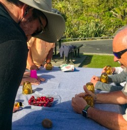 8. Kiwi eating game