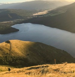 8. Lake Rotoiti