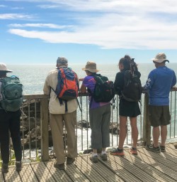 8. Pancake Rocks lookout