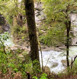 8. Routeburn river views
