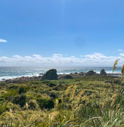 8. Seal Colony Martins Bay