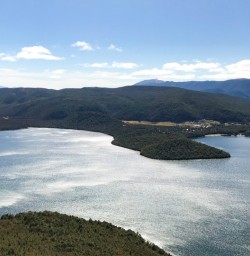 8. View of Lake Rotoiti from Bushline
