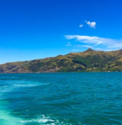 8. Views from the boat