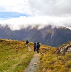 8. Bushline track walk
