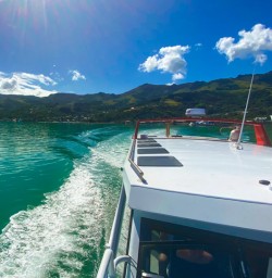 8. Dolphin swim boat ride