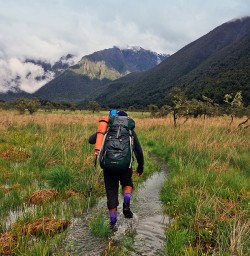 Hiking Angelus Track
