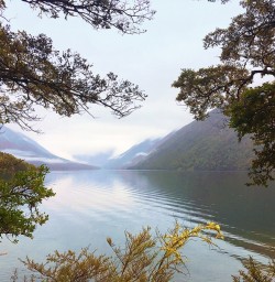 View on Lake Rotoiti