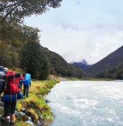 Hiking Lake Rotoiti Track