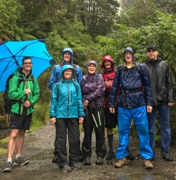 8whwt milford track rain