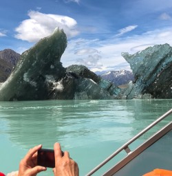 8whwt tasman bergs