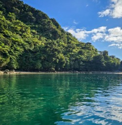 9 Abel Tasman National Park Pristine Blue Coastline Feb2025