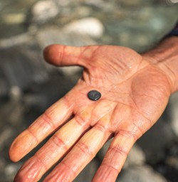 9 Bob Hardison found a pebble2