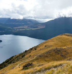 Bushline Hut hiking and adventure tours