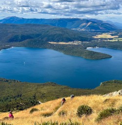 Bushline Hut hiking tours 2