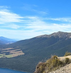 Bushline Hut hiking tours 