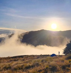 Bushline Hut walking and adventure tours 