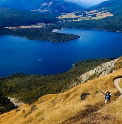 Bushline Hut walking tours 
