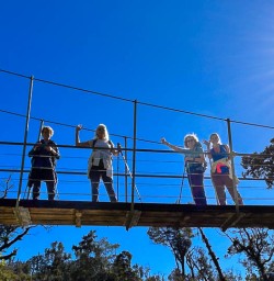 Crossing swing bridges in Paparoa National Park 