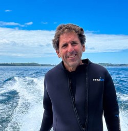 Dolphin swim adventure 