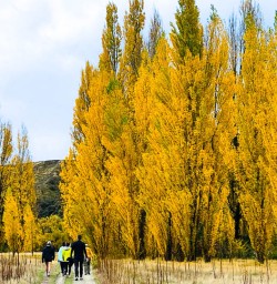 Fall in the beautiful Arrowtown