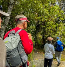 Guests walking Paparoa2