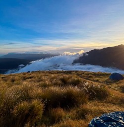 Guided Hiking Tours to Bushline Hut