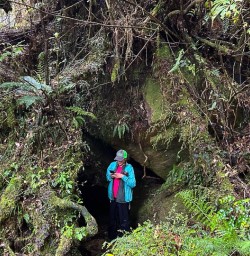 Hike Paparoa 28 October 2024 6