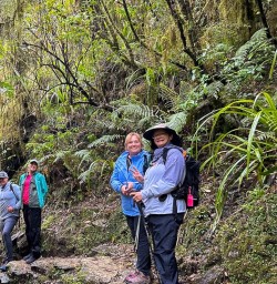 Hike Paparoa 28 October 2024 7