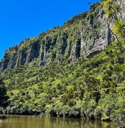 Hike Paparoa National Park 09 December 2024 1