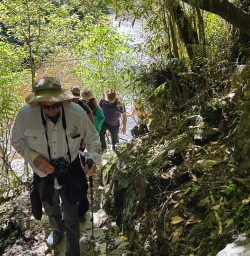 Hike Paparoa National Park 09 December 2024 4