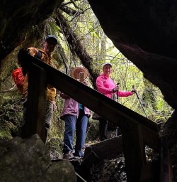 Hike Paparoa National Park 18 November 2024 5