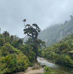 Hike Paparoa National Park 25 November 2024 3