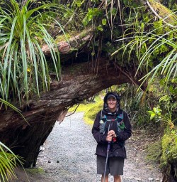 Hike Paparoa National Park 25 November 2024 5