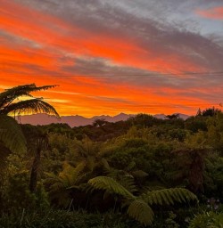 Hike Paparoa National Park Pancake Rocks Explore Hokitika 11 November 2024 3