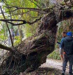 Hike Paparoa National Park Pancake Rocks Explore Hokitika 11 November 2024 4