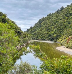 Hike Paparoa National Park Pancake Rocks Explore Hokitika 11 November 2024 5