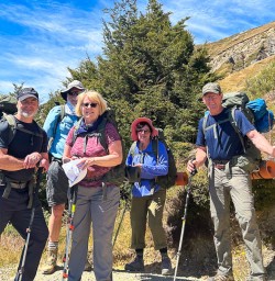 Hike to Bushline Hut