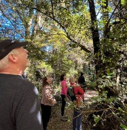 Hiking in Paparoa National Park