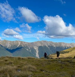 Hiking tours with New Zealand Trails 