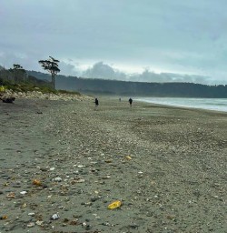 Hokitika