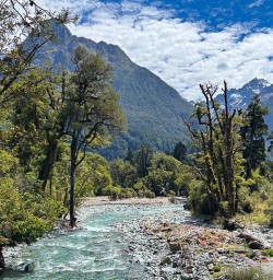 Hollyford Track 