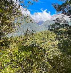 Hollyford Track small group tours 